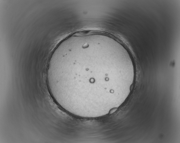 X0000116320385200912221403