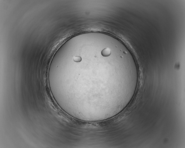 X0000116320386200912221403