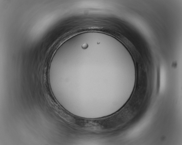 X0000116320387200912221403