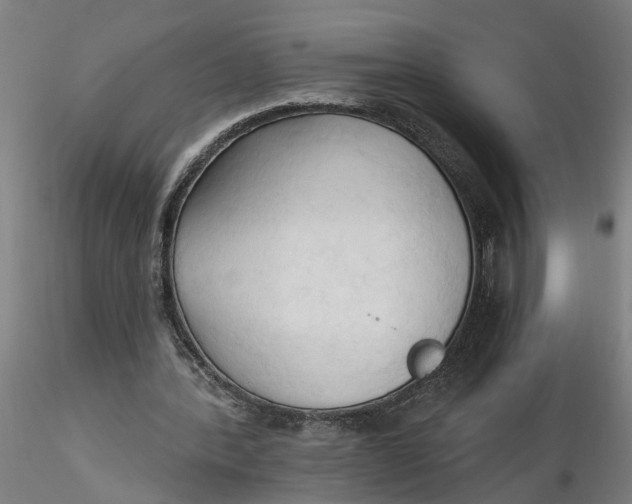 X0000116320388200912221403