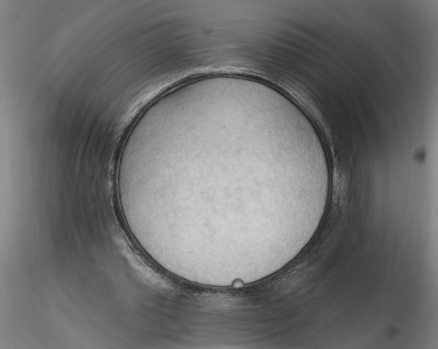 X0000116320389200912221403