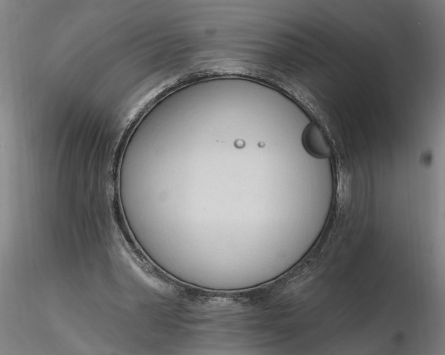 X0000116320390200912221403