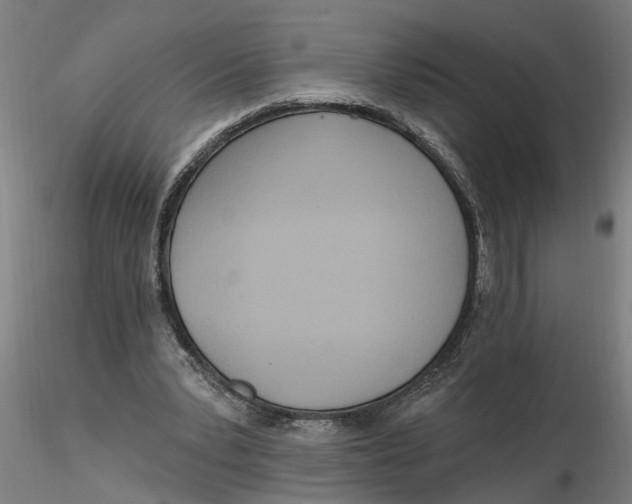 X0000116320391200912221403