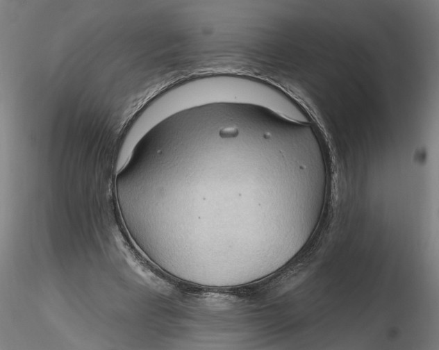 X0000116320393200912221403