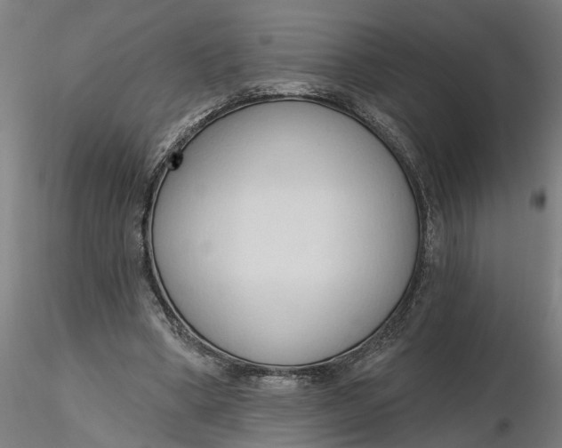 X0000116320394200912221403