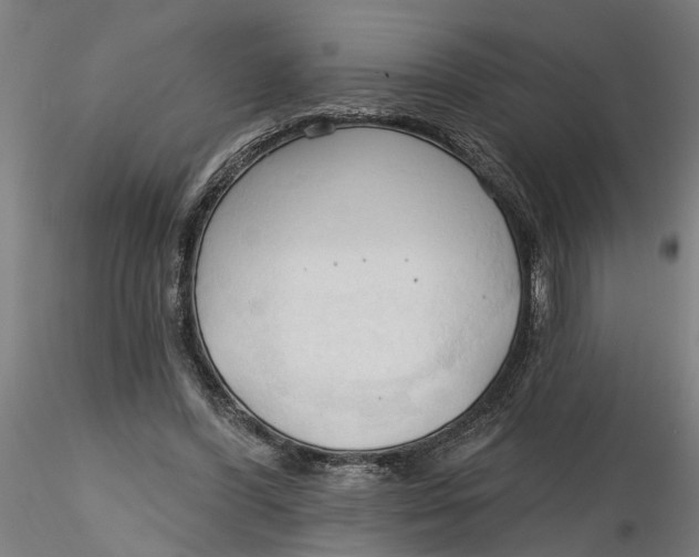 X0000116320396200912221403