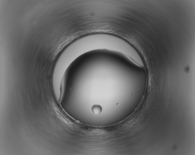 X0000116320397200912221403