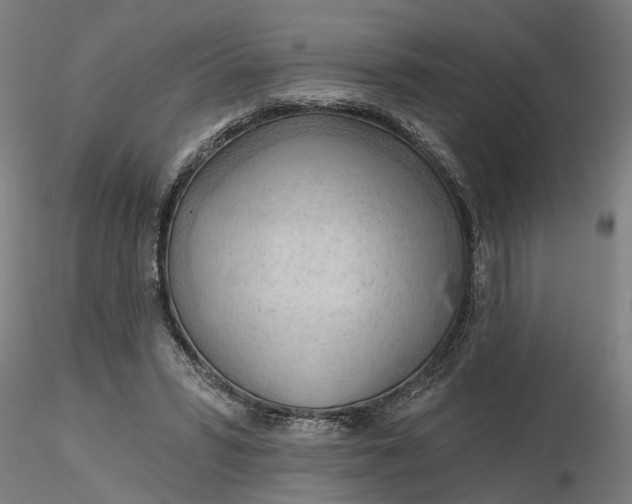 X0000116320399200912221403