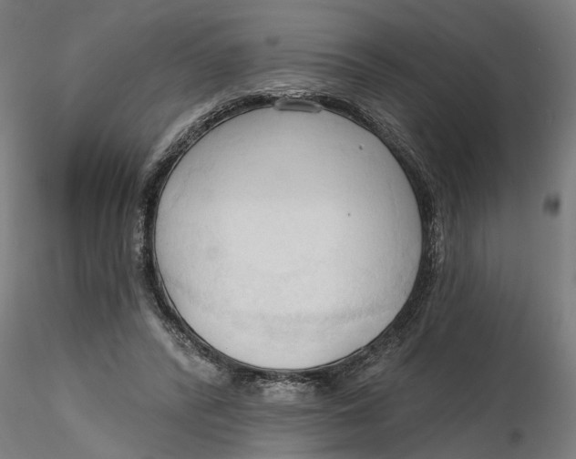 X0000116320400200912221403