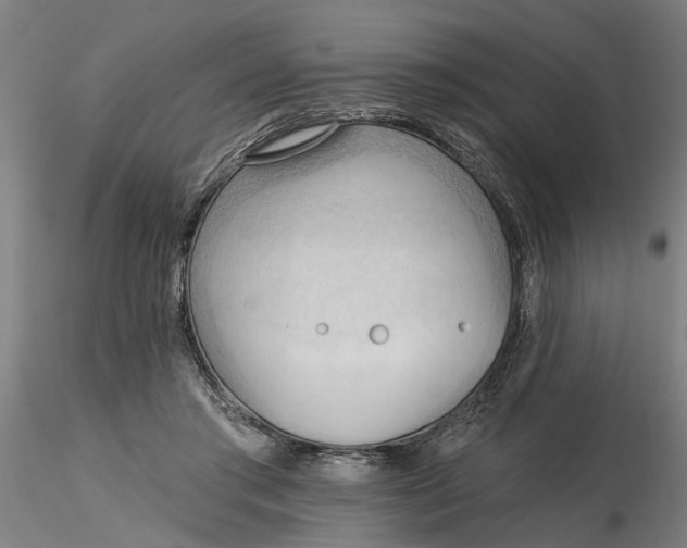 X0000116320405200912221403