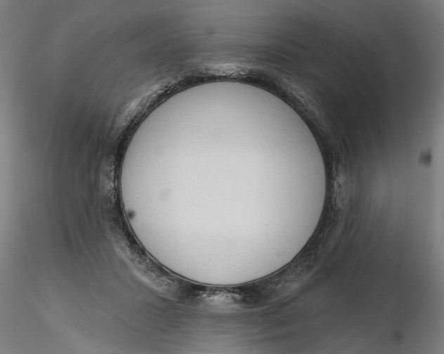 X0000116320407200912221403