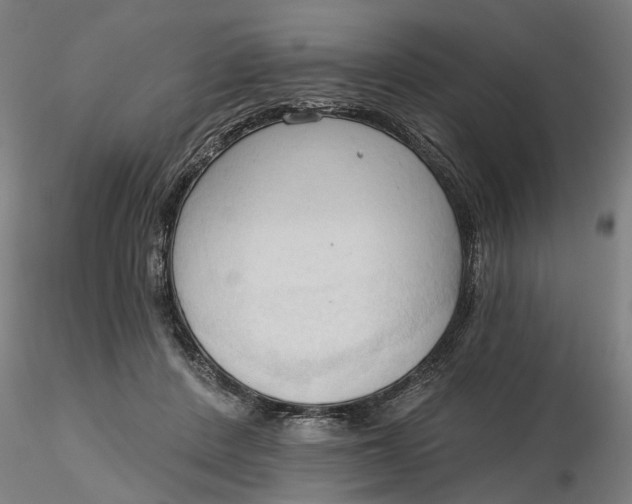 X0000116320408200912221403