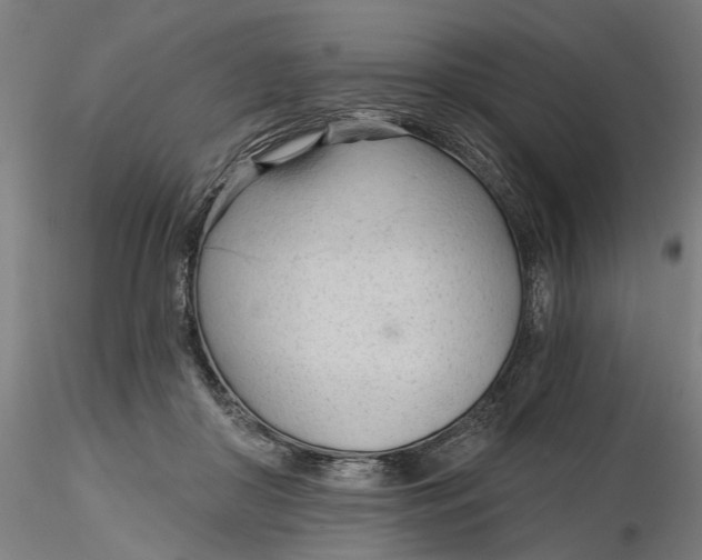 X0000116320410200912221403