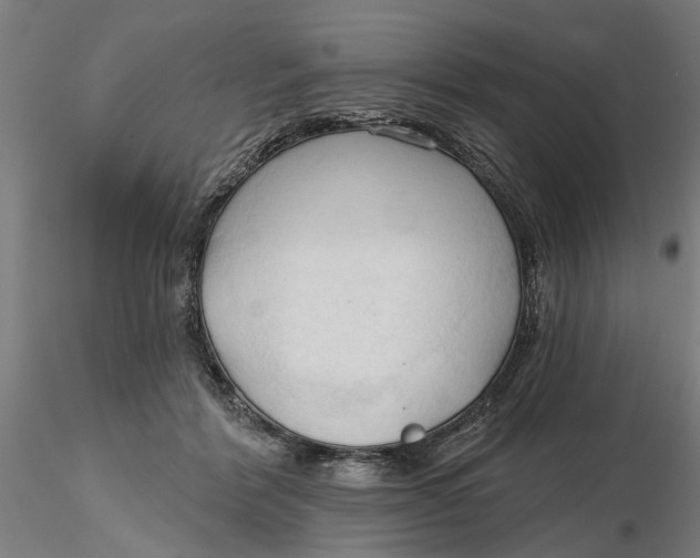 X0000116320412200912221403