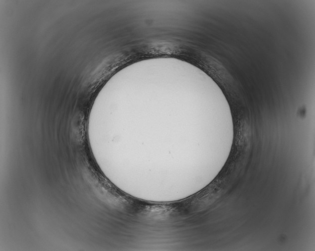 X0000116320414200912221403