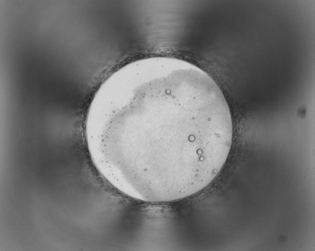 X0000116320415200912221403