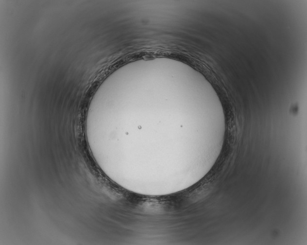 X0000116320416200912221403