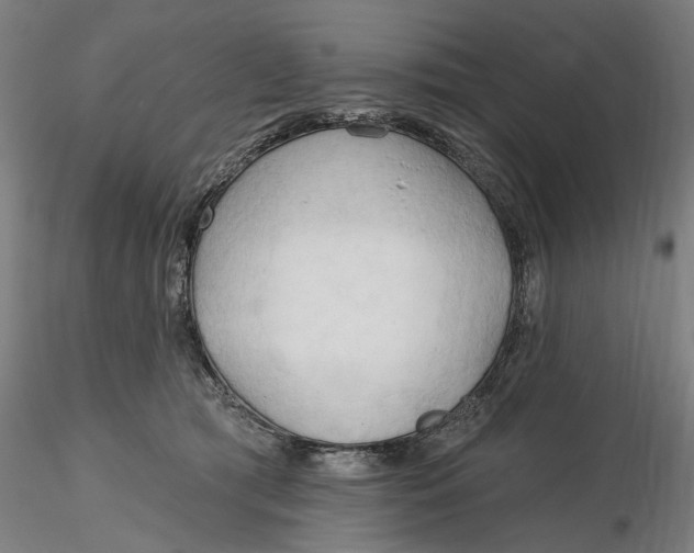 X0000116320417200912221403