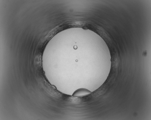 X0000116320425200912221403