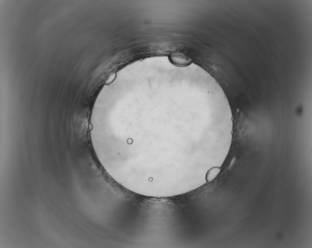 X0000116320427200912221403