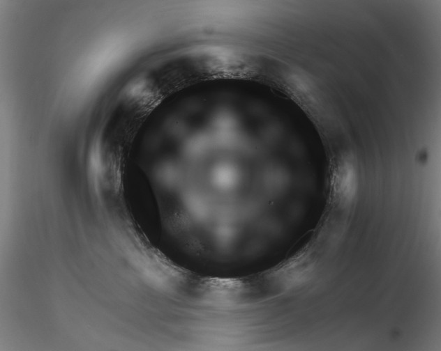 X0000116320429200912221403