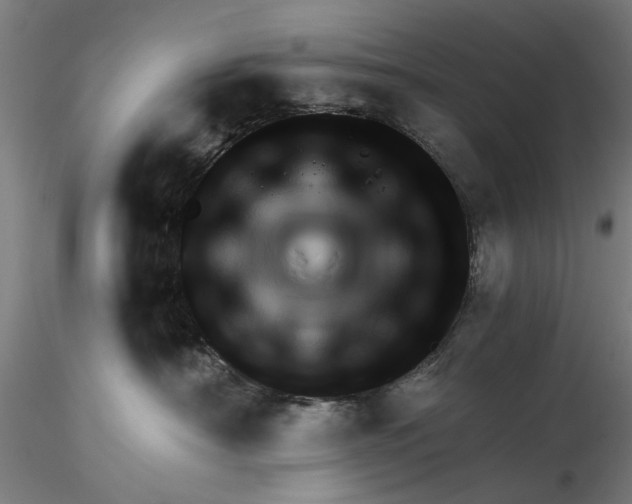 X0000116320430200912221403