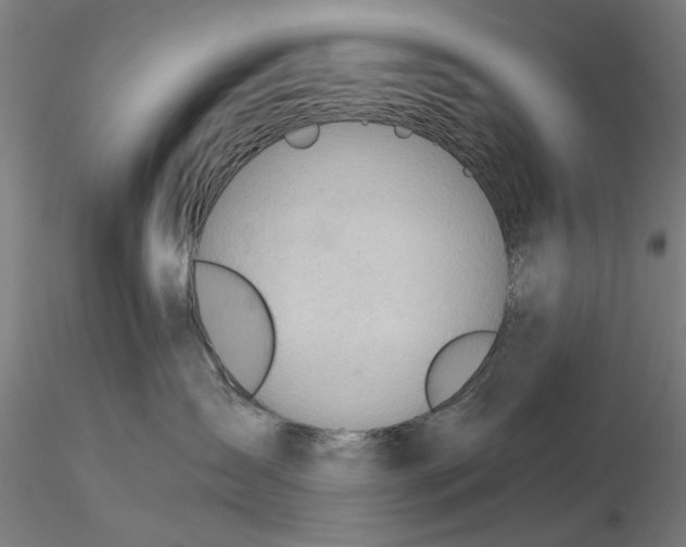 X0000116320431200912221403