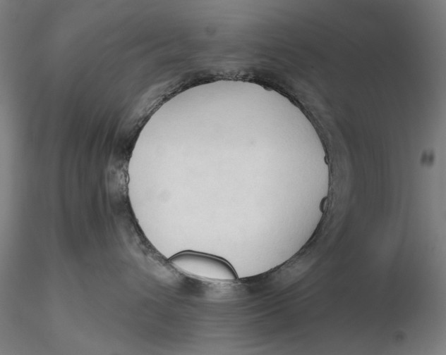 X0000116320432200912221403