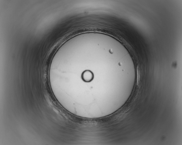 X0000116320435200912221402