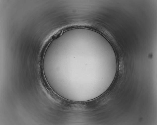 X0000116320436200912221402