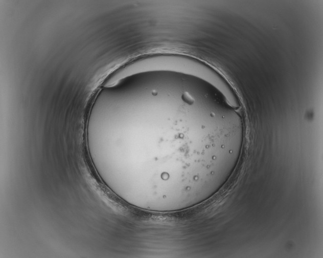 X0000116320437200912221402