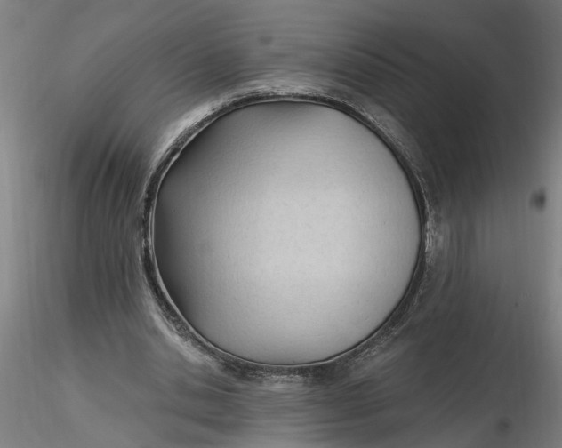 X0000116320438200912221402