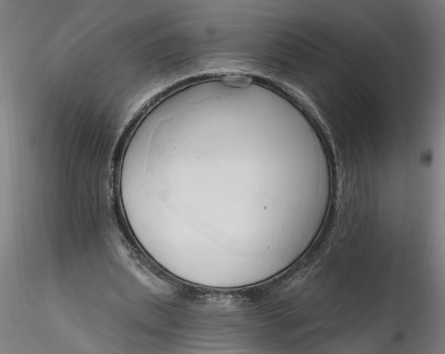 X0000116320439200912221402