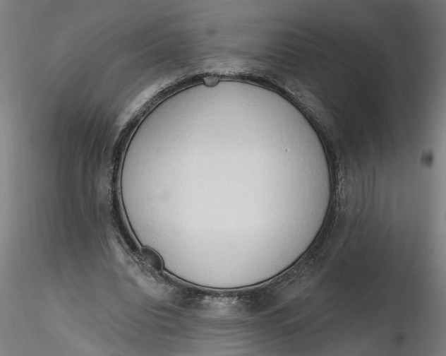 X0000116320440200912221402