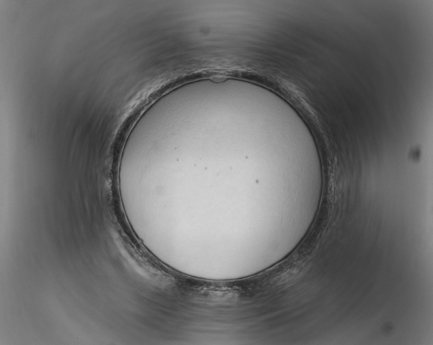 X0000116320443200912221402