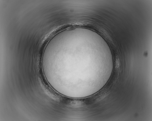 X0000116320444200912221402