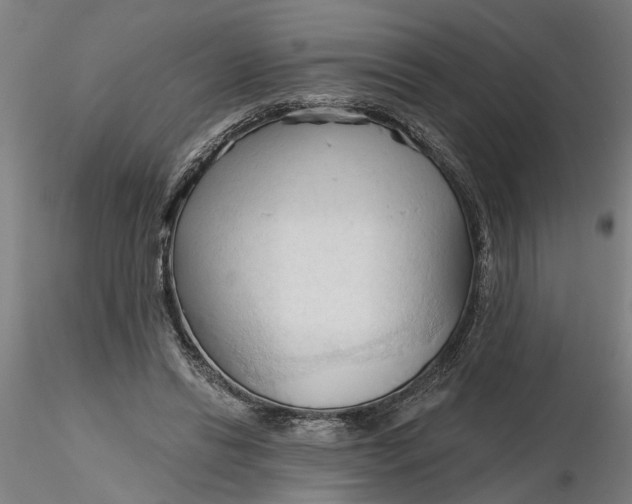 X0000116320446200912221402