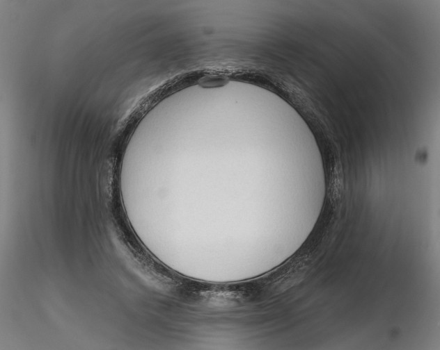 X0000116320448200912221402