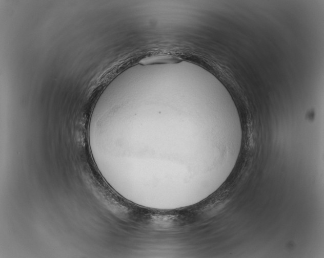 X0000116320450200912221402