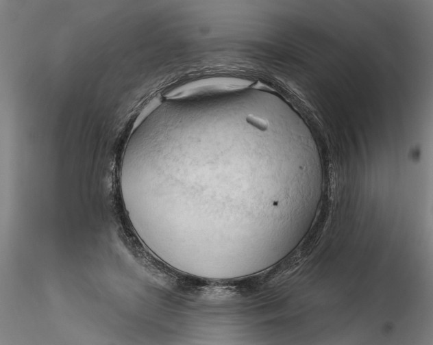 X0000116320451200912221402