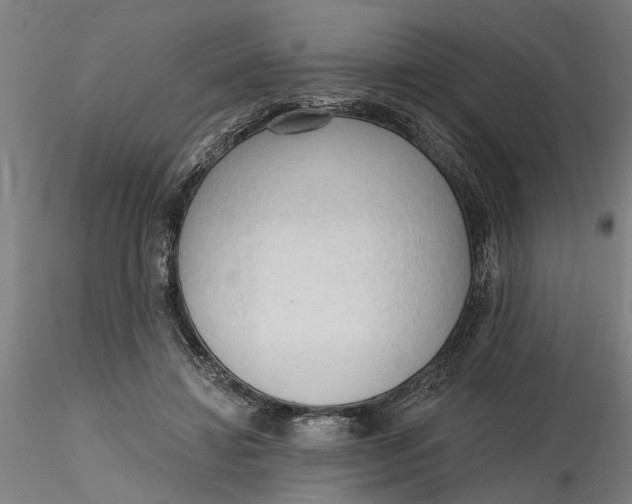 X0000116320452200912221402