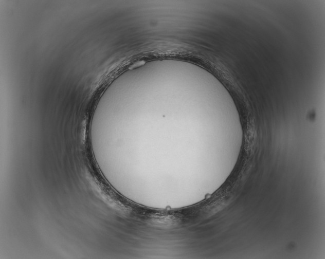 X0000116320454200912221402