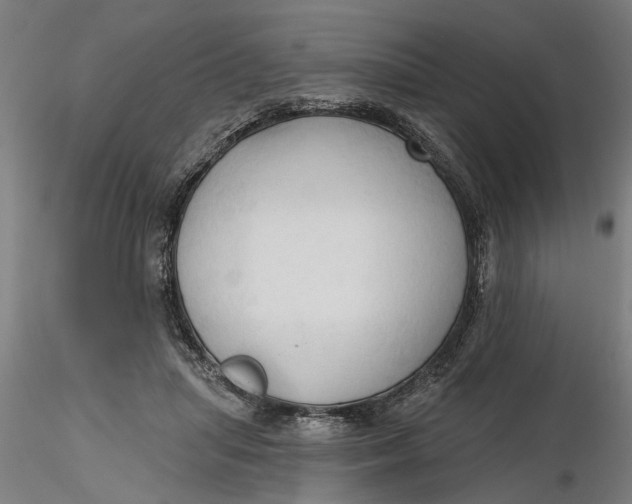 X0000116320455200912221402