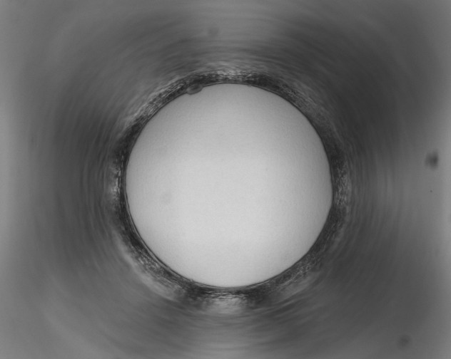 X0000116320456200912221402