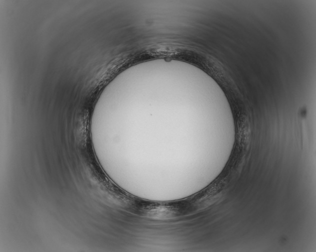 X0000116320460200912221402