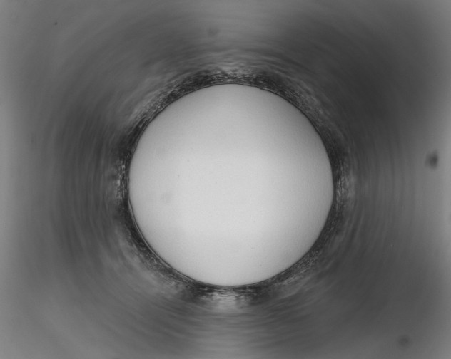 X0000116320464200912221402