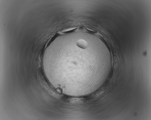 X0000116320465200912221402