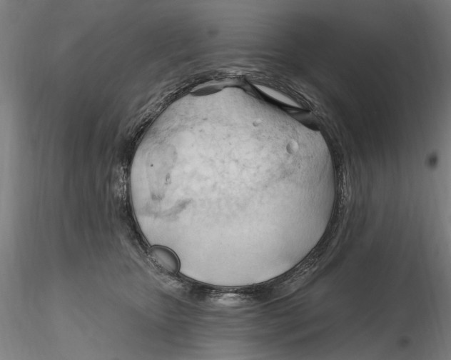 X0000116320467200912221402