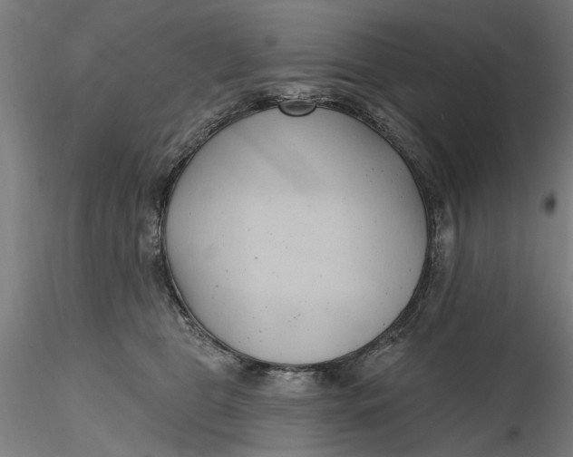 X0000116320469200912221402