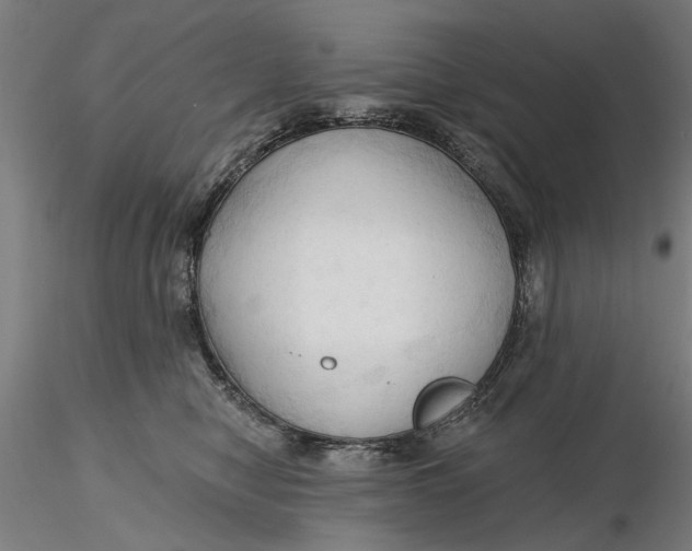 X0000116320470200912221402